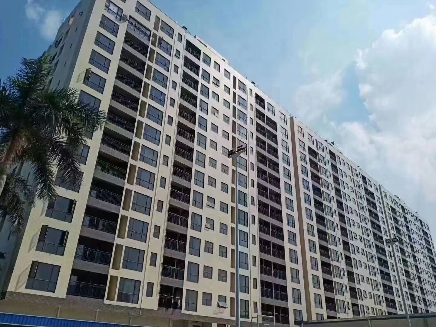 长安厦边5栋社区【滨海明珠】两房首付15万起(图5)