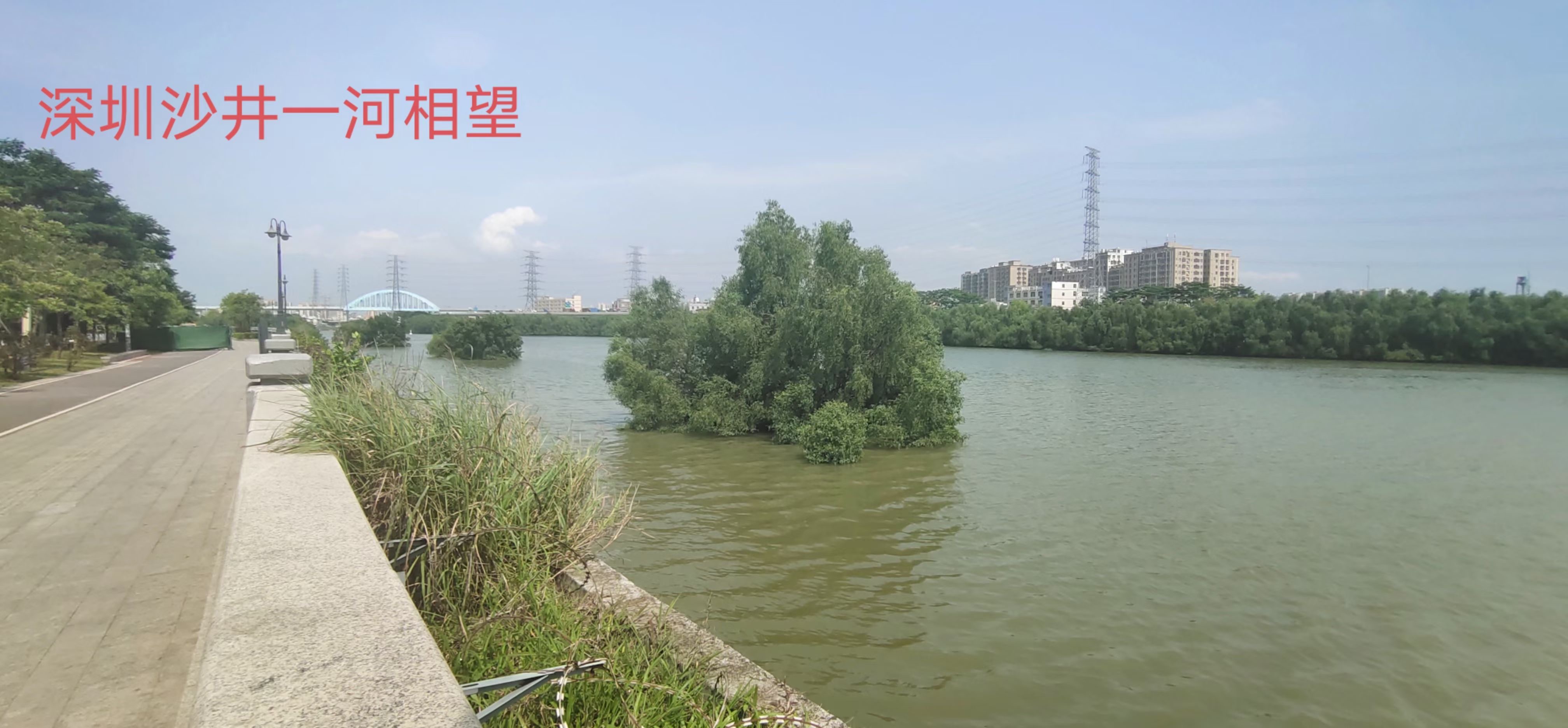 沙井一步之隔【东宝华庭】长安新民4880一平(图3)