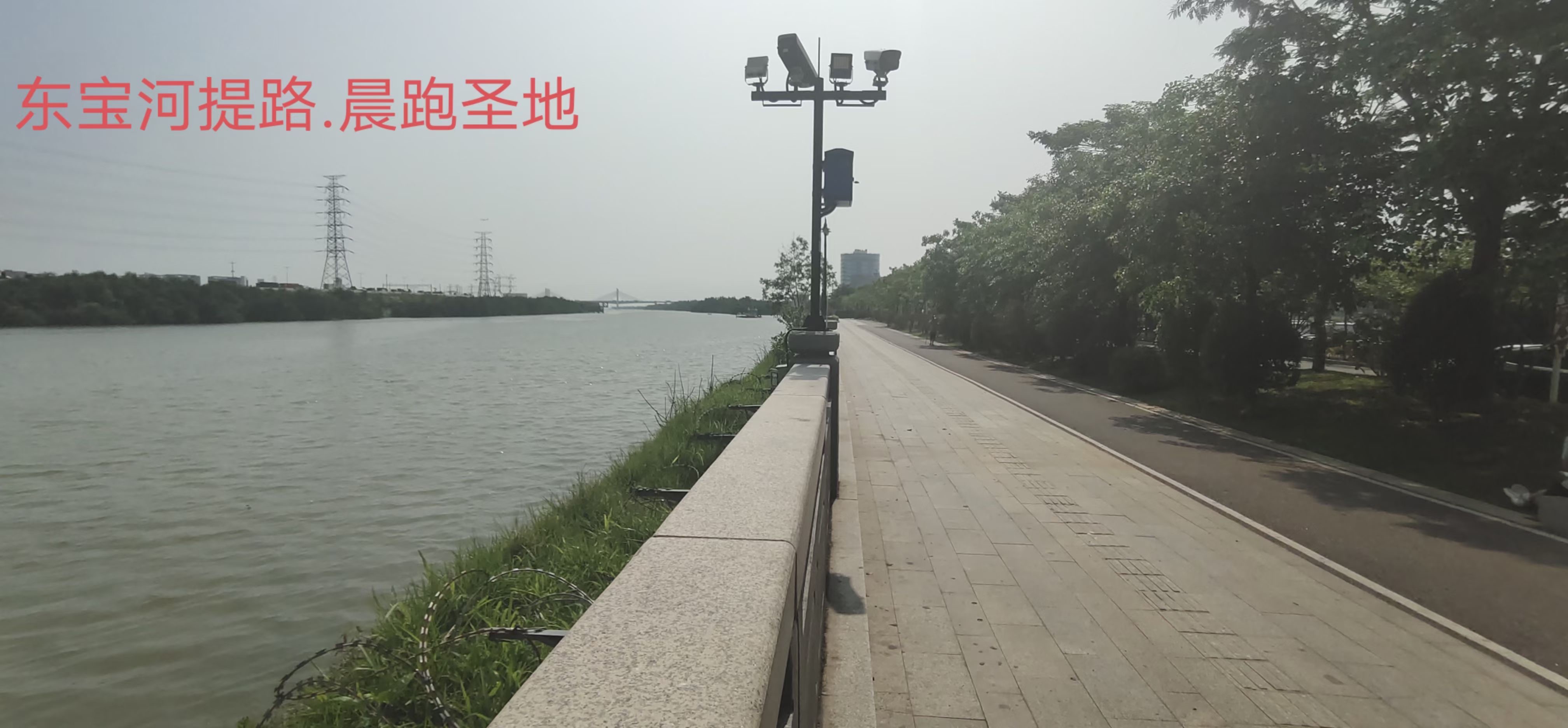 沙井一步之隔【东宝华庭】长安新民4880一平(图4)