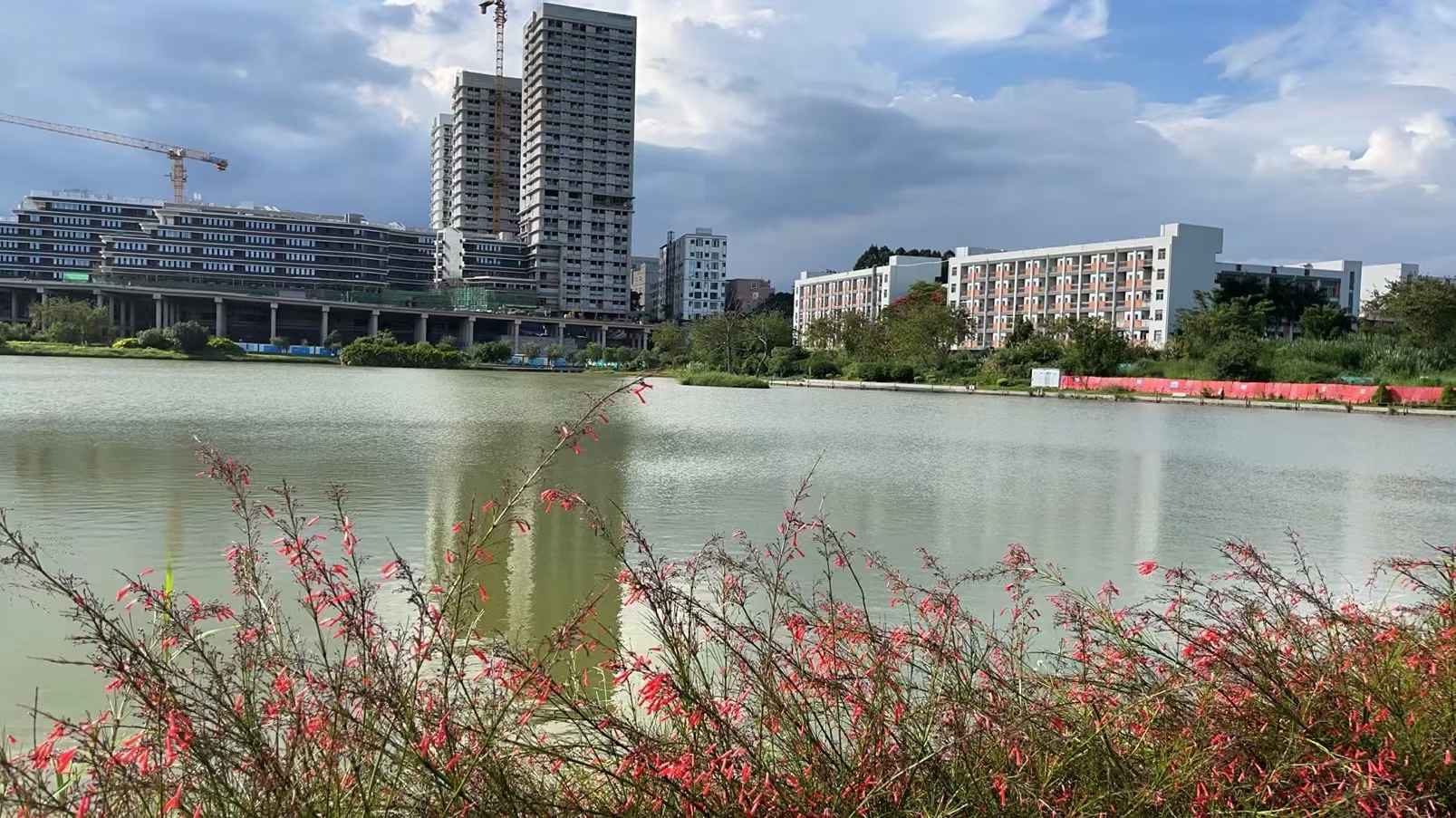 坪地湿地公园旁【学府名城】精装两房53.8万一套(图2) 坪地湿地公园旁【学府名城】精装两房53.8万一套(图2)