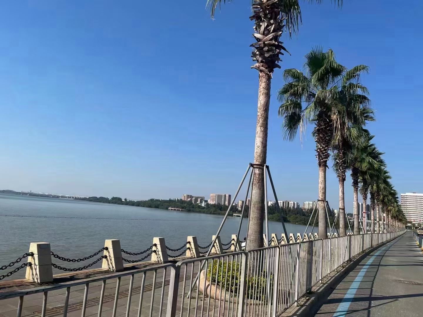 西湾红树林公园【滨海时代广场】2栋花园两房56万一套(图2)