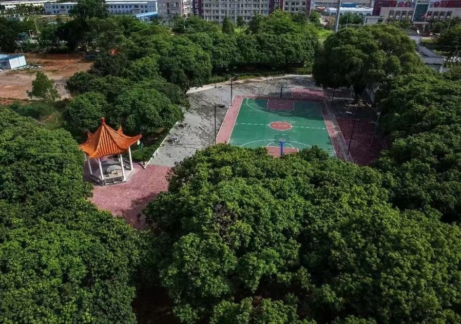 近深圳龙岗坪山【锦溪家园】大亚湾白菜价3200一平(图2)