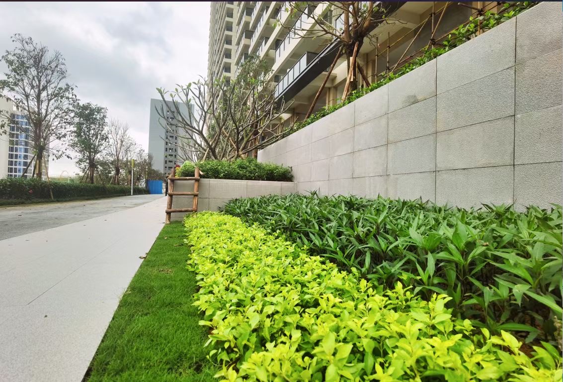 近东莞南城【观山小玥城】厚街豪宅品质7980一平起(图5) 近东莞南城【观山小玥城】厚街豪宅品质7980一平起(图5)