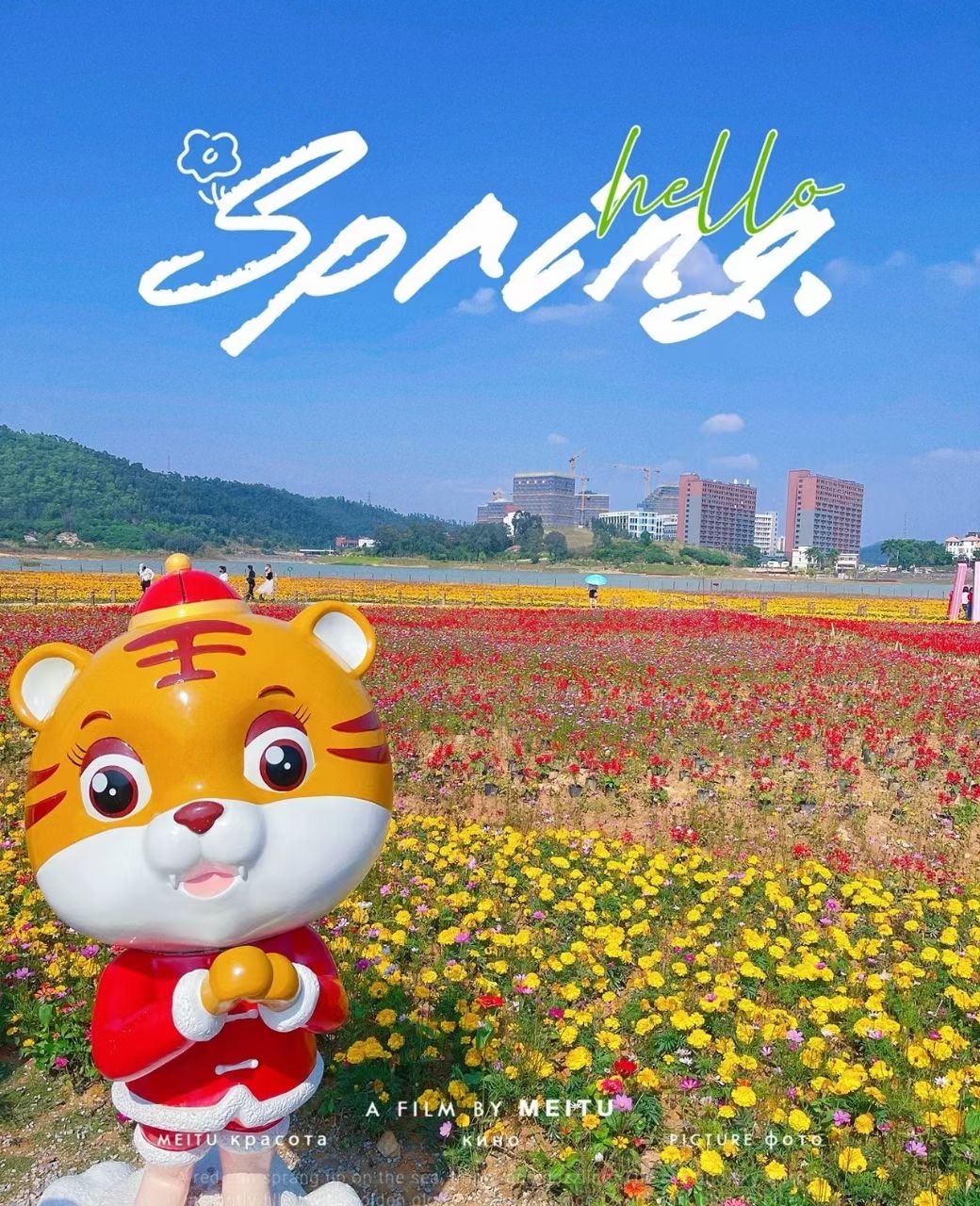 近光明中山大学【鹏湖天际】黄江花园房首付8万起(图4)