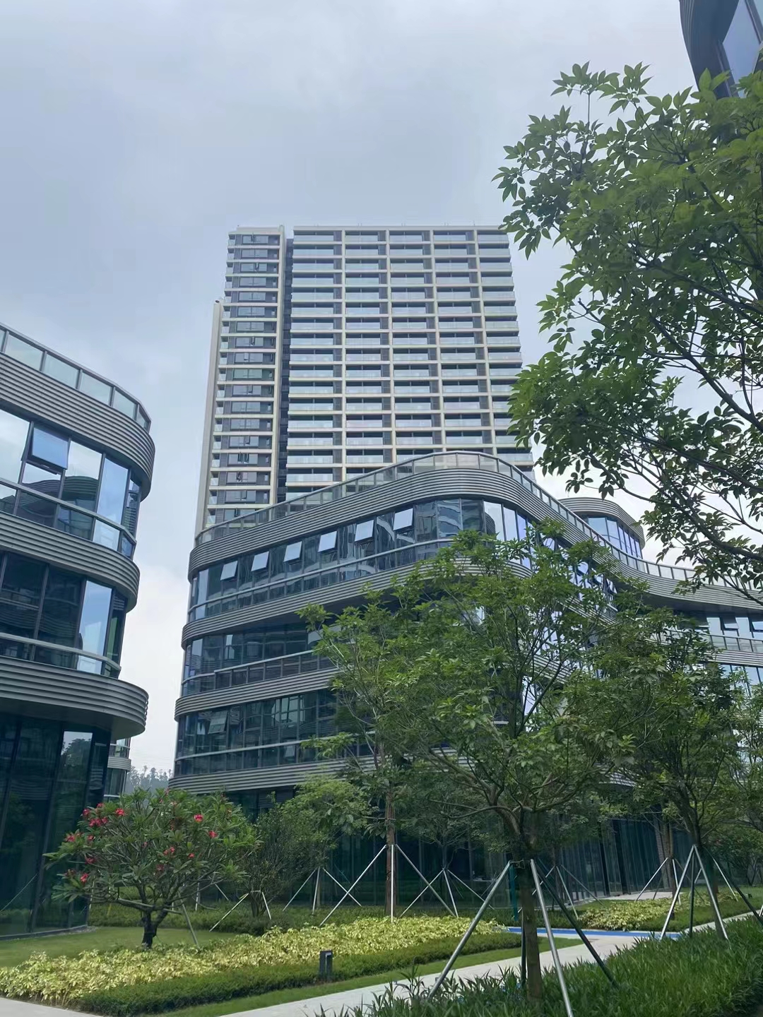 近光明中山大学【鹏湖天际】黄江14栋花园首付8万起(图4)