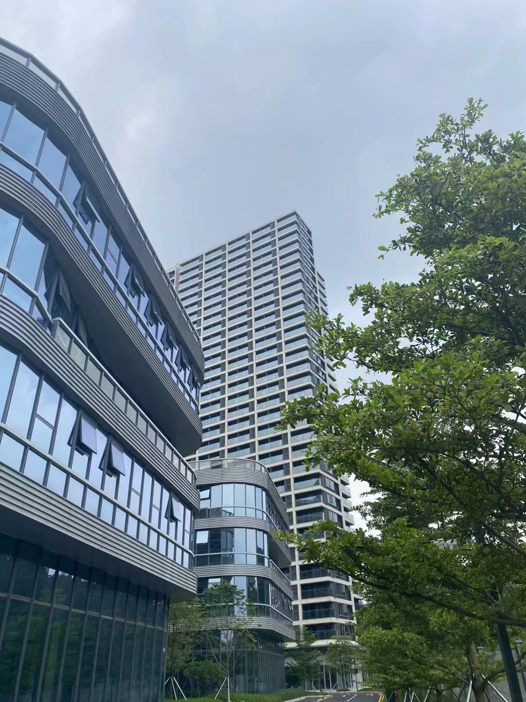 近光明中山大学【鹏湖天际】黄江14栋花园首付8万起(图5)