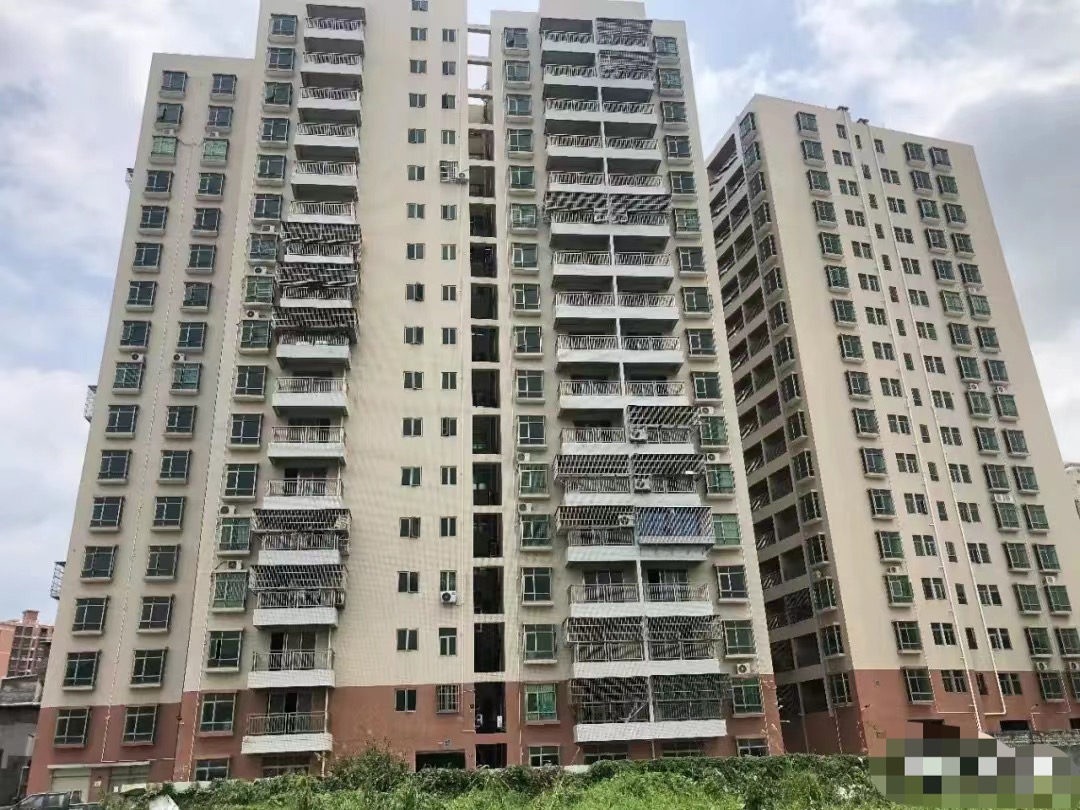 龙岗坪地旁【万兴华府】惠州新圩9.9万一套起(图2)