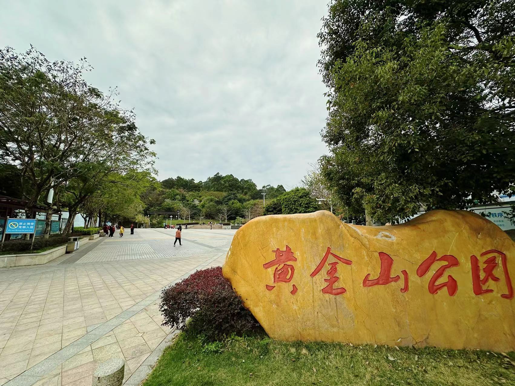 十号线坂田北站【坂田雅苑】精装单间首付9万一套起(图3) 十号线坂田北站【坂田雅苑】精装单间首付9万一套起(图3)