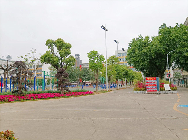 西乡白菜价 精装两房总价46万一套起(图2) 西乡白菜价 精装两房总价46万一套起(图2)