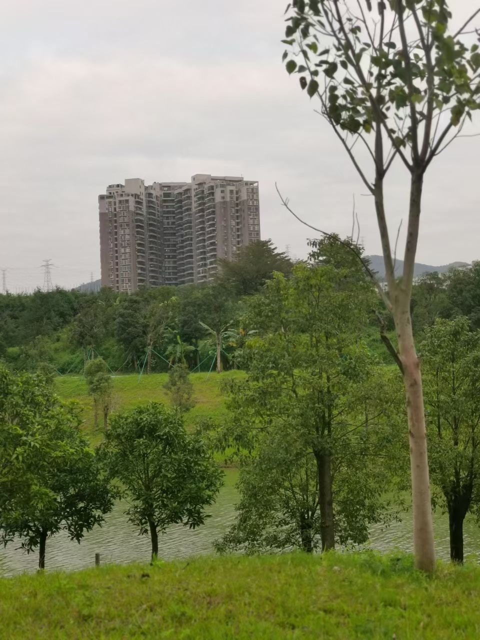 石岩湿地公园旁【山湖花园】3栋花园12800一平(图2) 石岩湿地公园旁【山湖花园】3栋花园12800一平(图2)