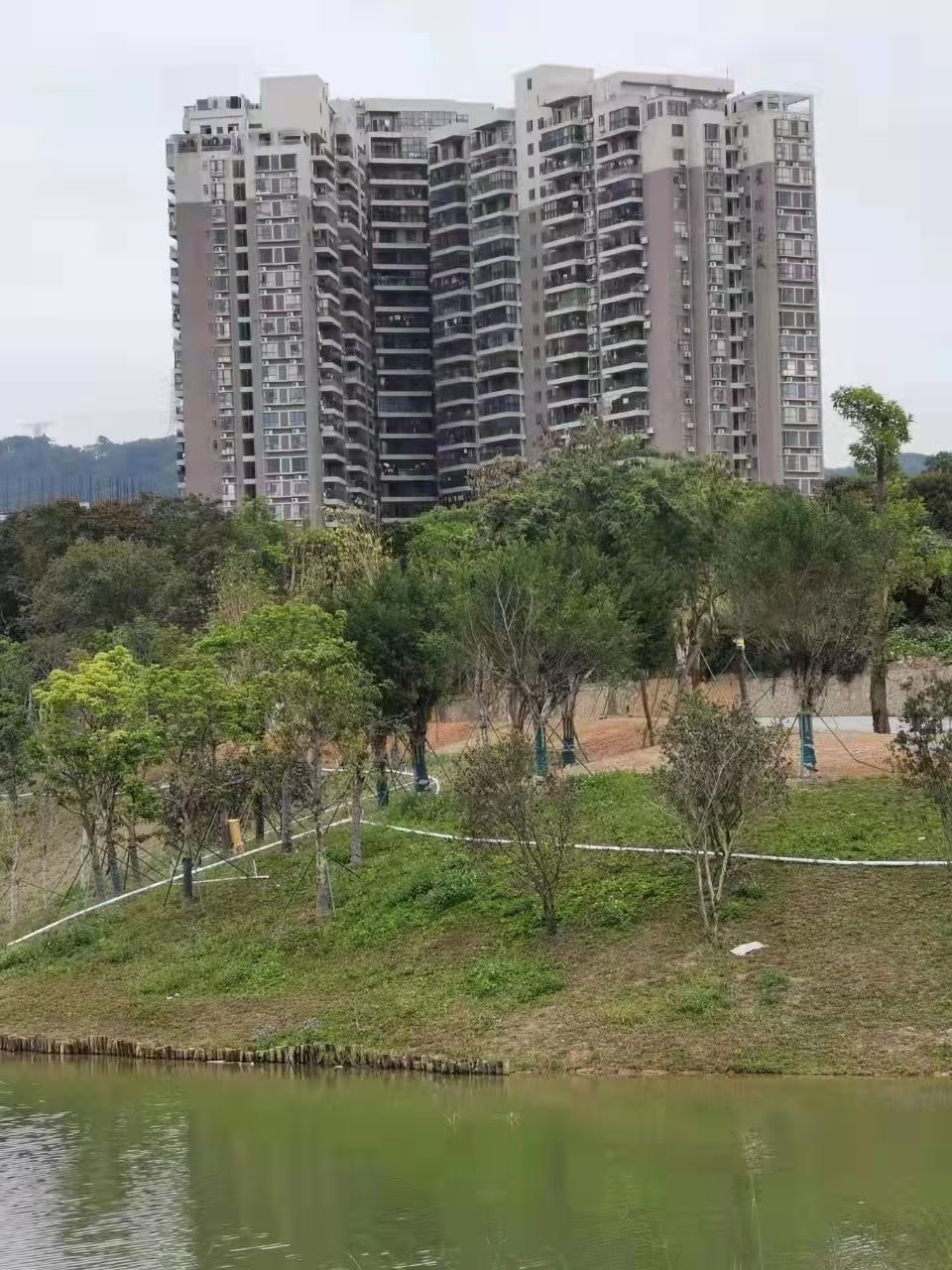 石岩湿地公园旁【山湖花园】3栋花园12800一平(图3) 石岩湿地公园旁【山湖花园】3栋花园12800一平(图3)