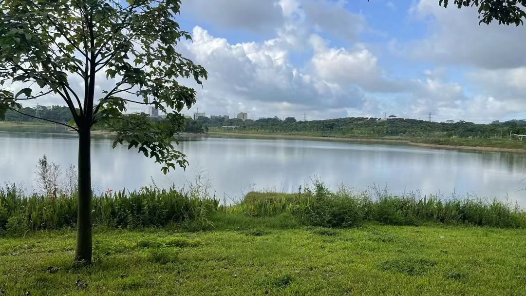 石岩湿地公园旁【山湖花园】3栋花园12800一平(图4) 石岩湿地公园旁【山湖花园】3栋花园12800一平(图4)