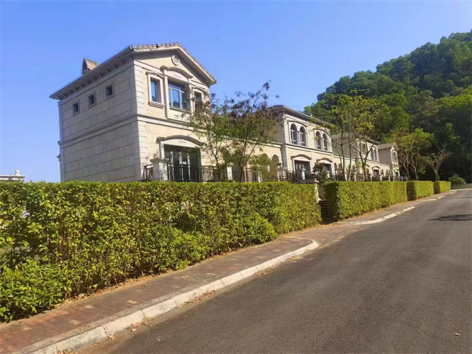 罗湖旁山水别墅【凤仪园】总价680万一套，带大私家花园(图6)