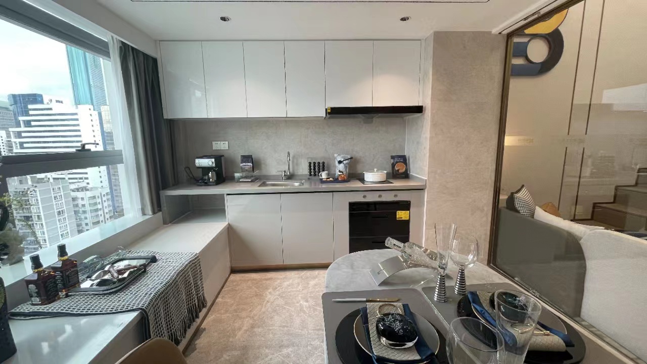 罗湖国贸地铁口【万象新天地】精装两房首付39万(图8)