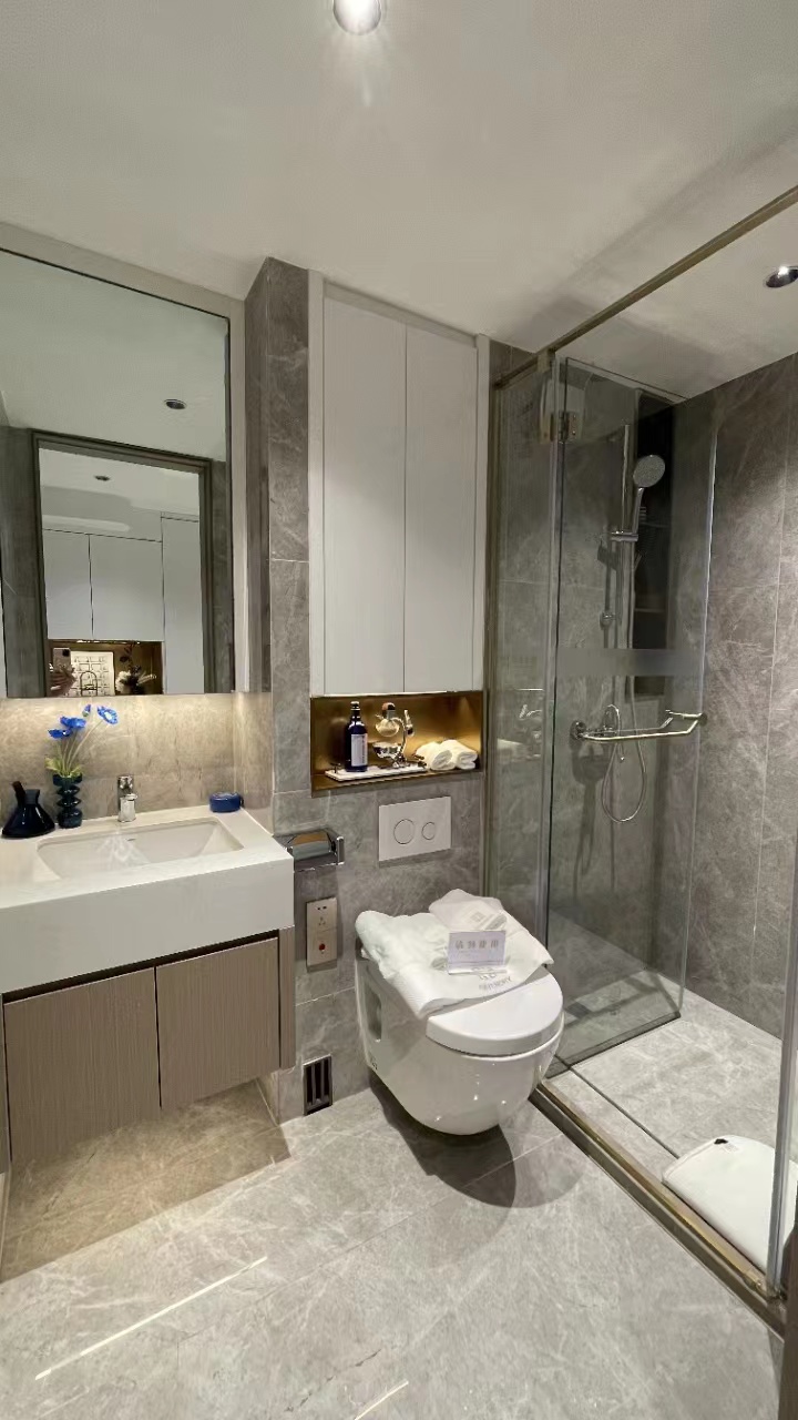 罗湖国贸地铁口【万象新天地】精装两房首付39万(图11)