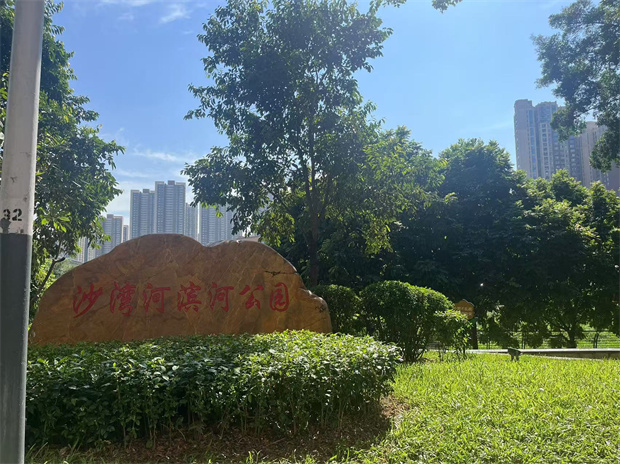 布吉丹竹头地铁站【沙岭小区】总价29.8万一套任选(图7)