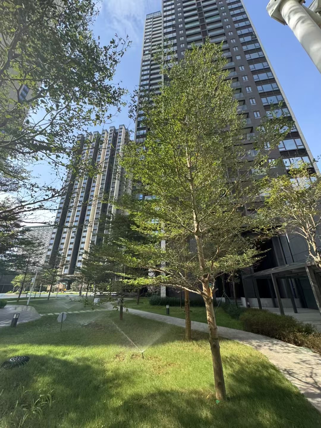 光明中山大学旁【科学城回迁房】商品房品质均价14500一平(图4)