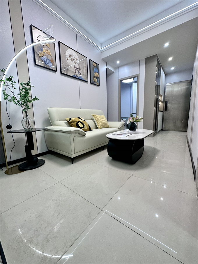 合水口地铁站旁【公明中心城】精装两房总价33.8万一套(图4)