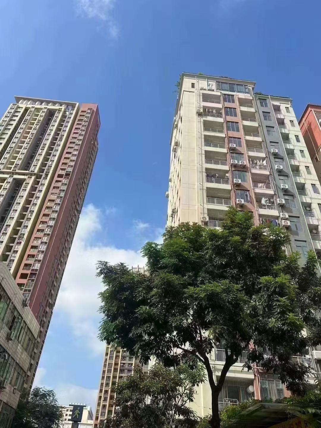 沙井京基百纳广场旁【锦绣小年华】首付16万一套起(图3)