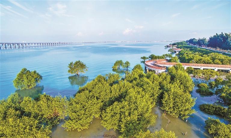 固戍两房首付28万起【红树林家园】西湾红树林公园(图2) 固戍两房首付28万起【红树林家园】西湾红树林公园(图2)