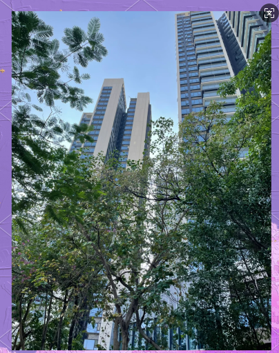 光明红本住宅2.68万一平【森创商品房】精装三房首付10万，供8079一月，准现房，楼下名书包(图6)