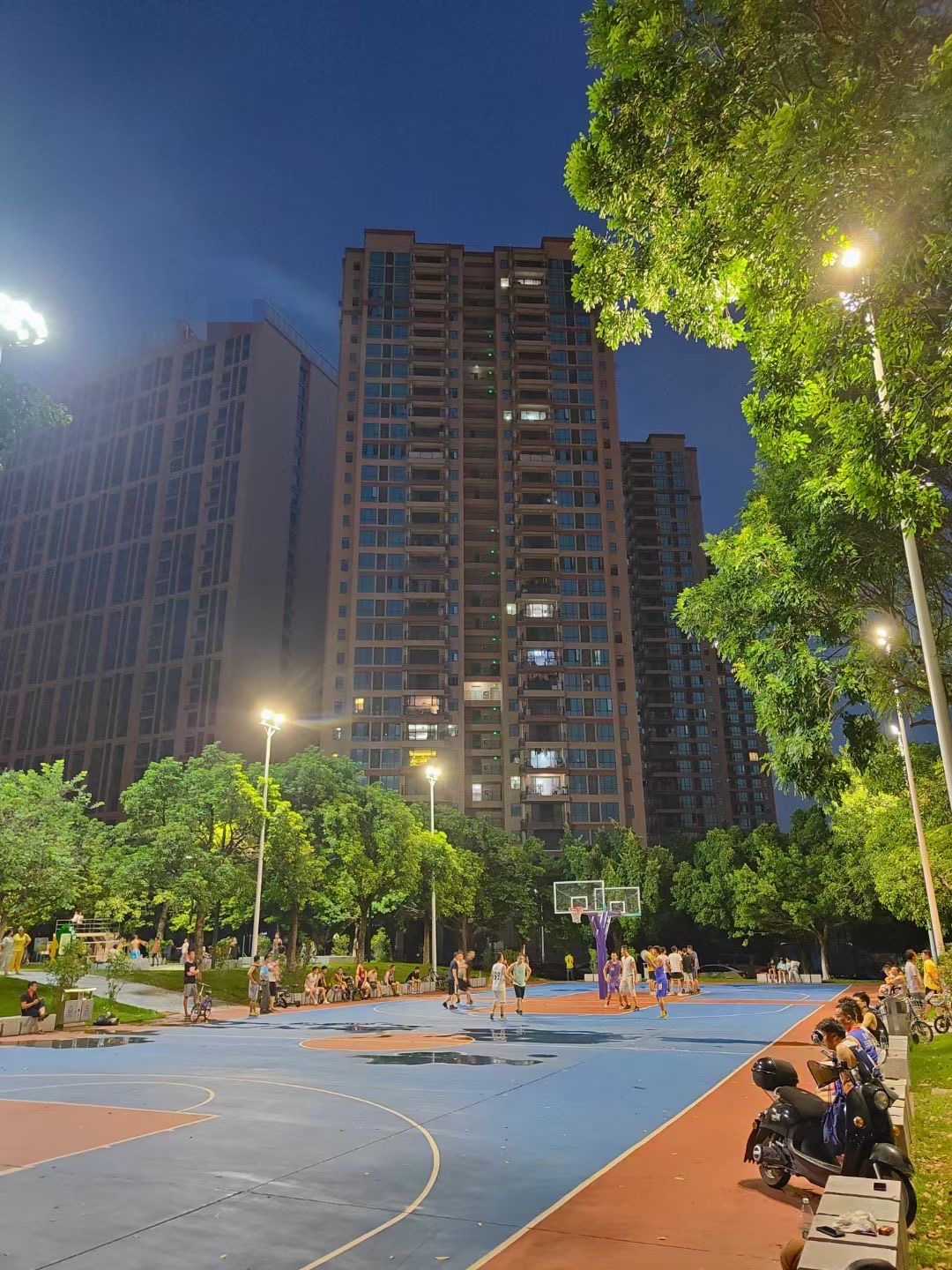 楼下就是生态公园【松湖首府】茶山8栋花园6千一平(图3)