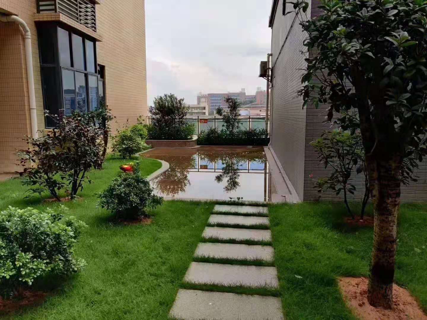 东城寮步一步之隔【城东花园】5栋花园6388一平(图3)