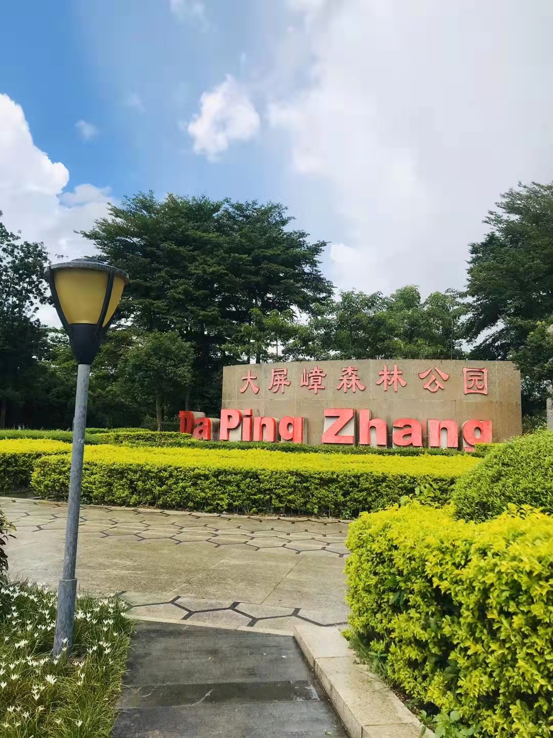 观澜大坪【万绿湖畔】大屏嶂森林公园5980一平起(图3)