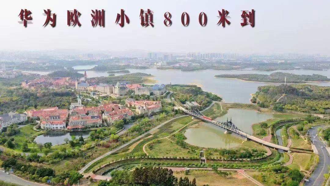 松山湖华为做邻居【柏林天境】大朗犀牛陂6栋花园(图3)